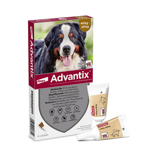 ADVANTIX Spot-on Lsg.z.Auftr.a.d.H.f.Hund 40-60 kg
